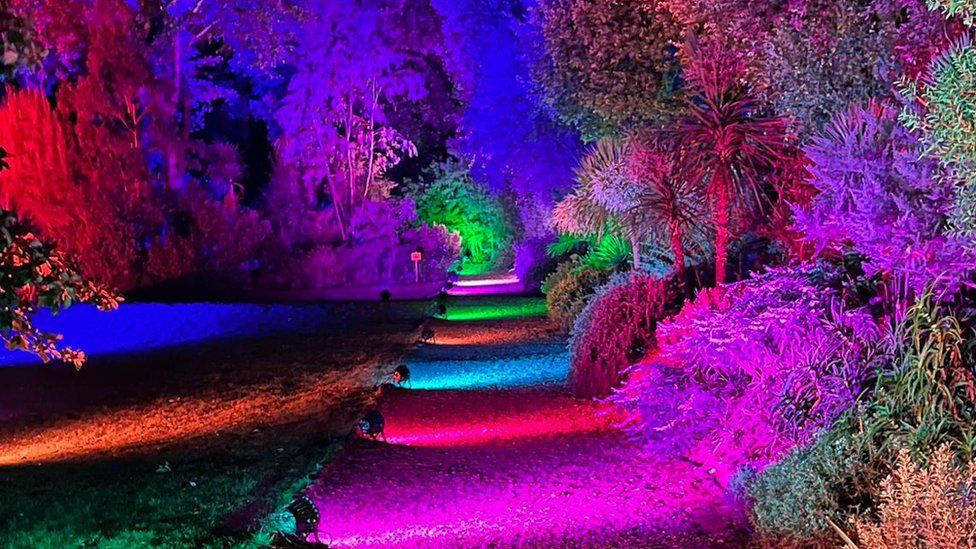 A footpath surrounded by trees lit up in multiple colours