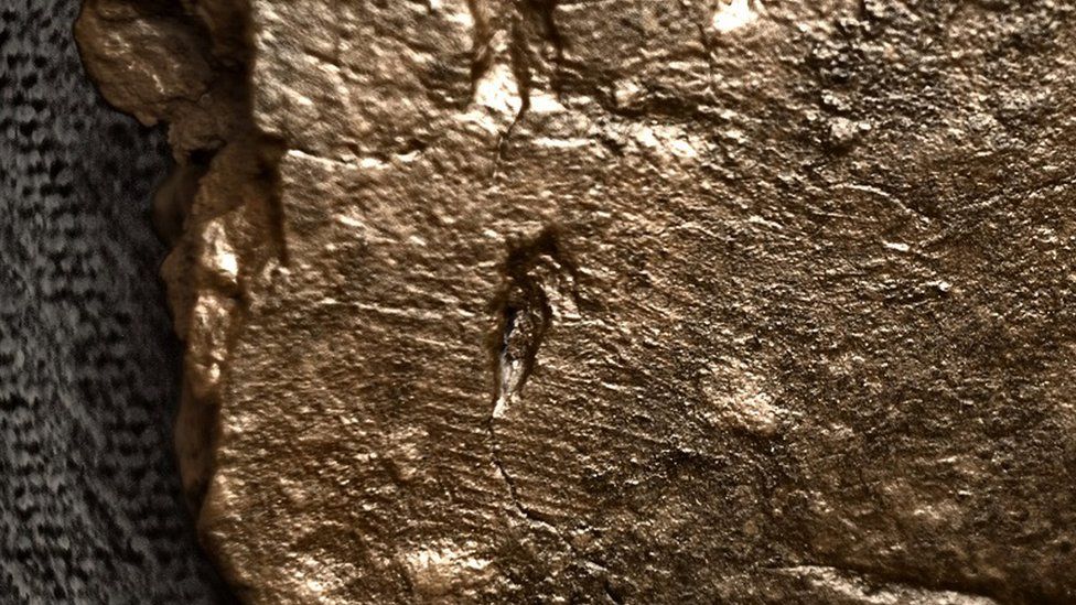 Fingerprint on a fragment of pottery