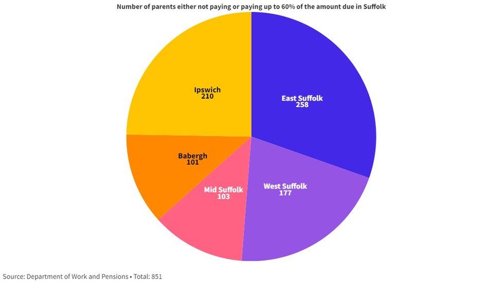 Pie chart showing non payments