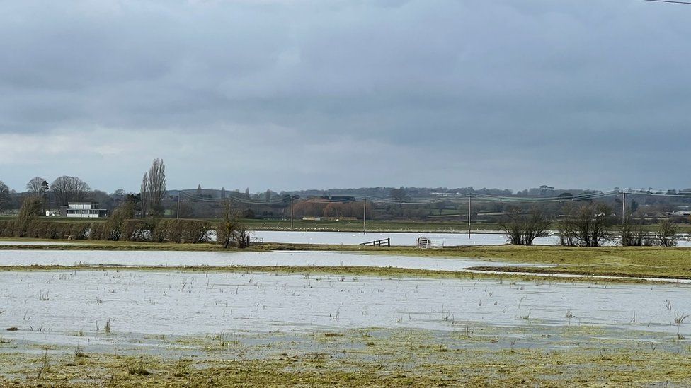 Flooded farm fields in Somerset