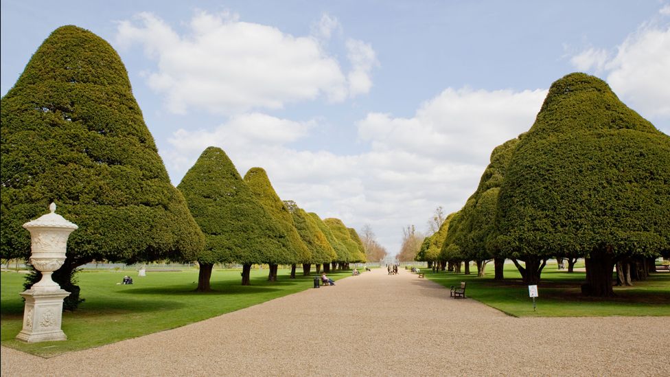 Hampton Court formal gardens