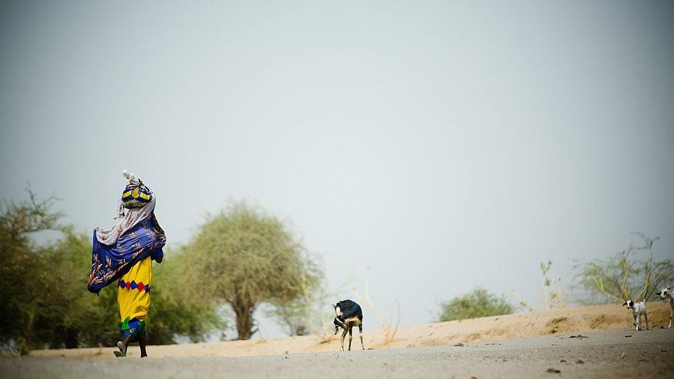 Женщина гуляет возле истощающихся вод озера Чад в 2007 году