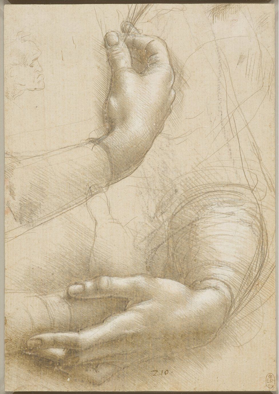 A drawing of a woman's hands by Leonardo da Vinci