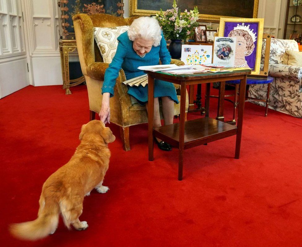 A picture released in London on February 4, 2022, and taken in January, shows Elizabeth II stroking Candy, her Dorgi, as she looks at a display of memorabilia from her Golden and Platinum Jubilees at Windsor Castle
