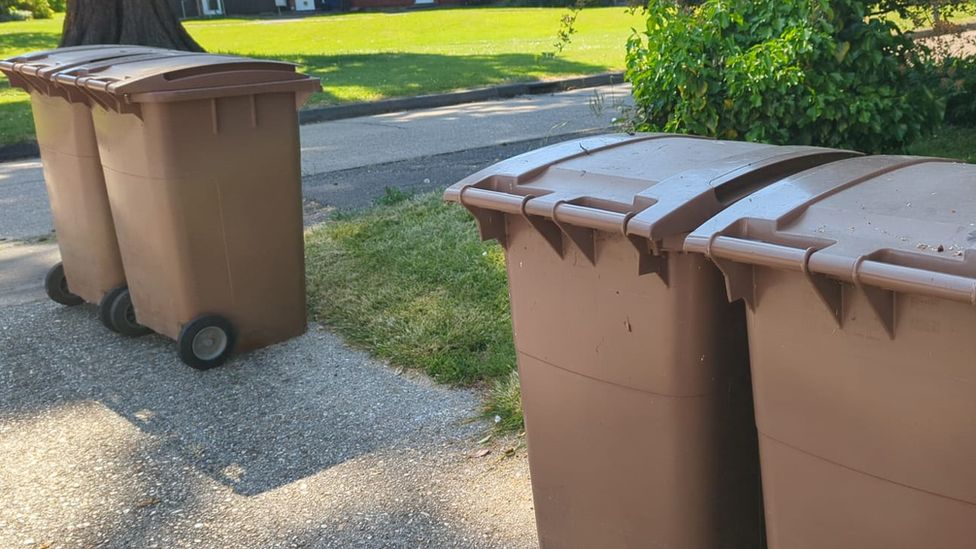 Colchester City Council to charge for garden waste collections BBC News