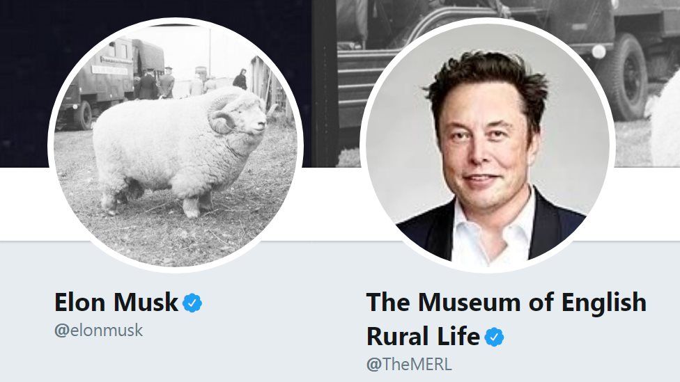 A picture of two Twitter profile pictures, on the left Elon Musk with a sheep as his picture, on the right the Museum of Rural English Life with Elon Musk as its picture.