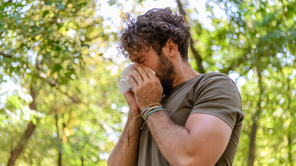 A bearded man in a park surrounded by trees, sneezing into a white tissue