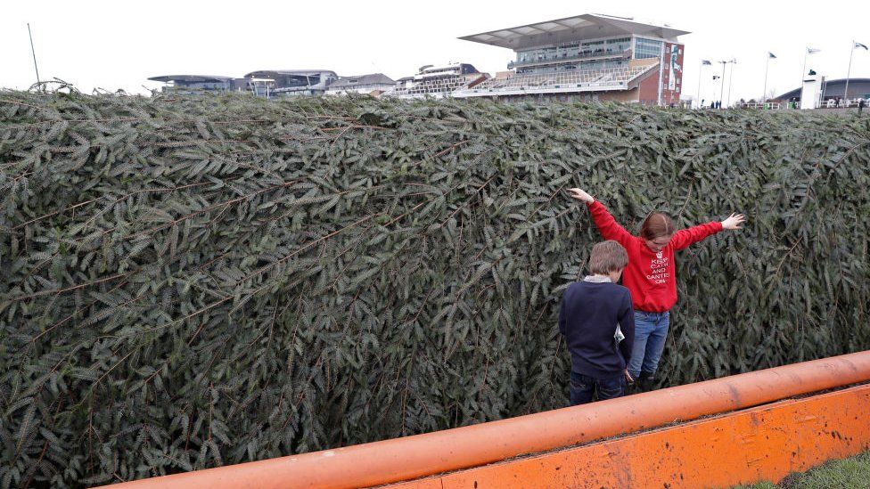 Grand National 2024 Everything you need to know BBC Newsround