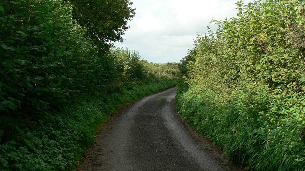 Hedgerow