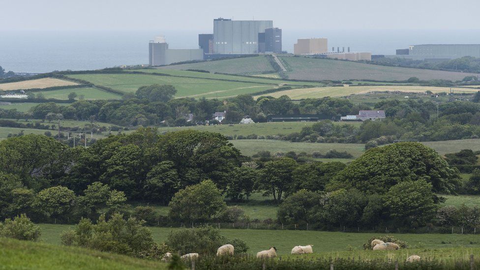 Wylfa Newydd in the distance - with fields full of sheep in the foreground