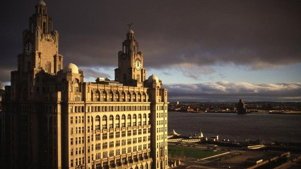 Liver building