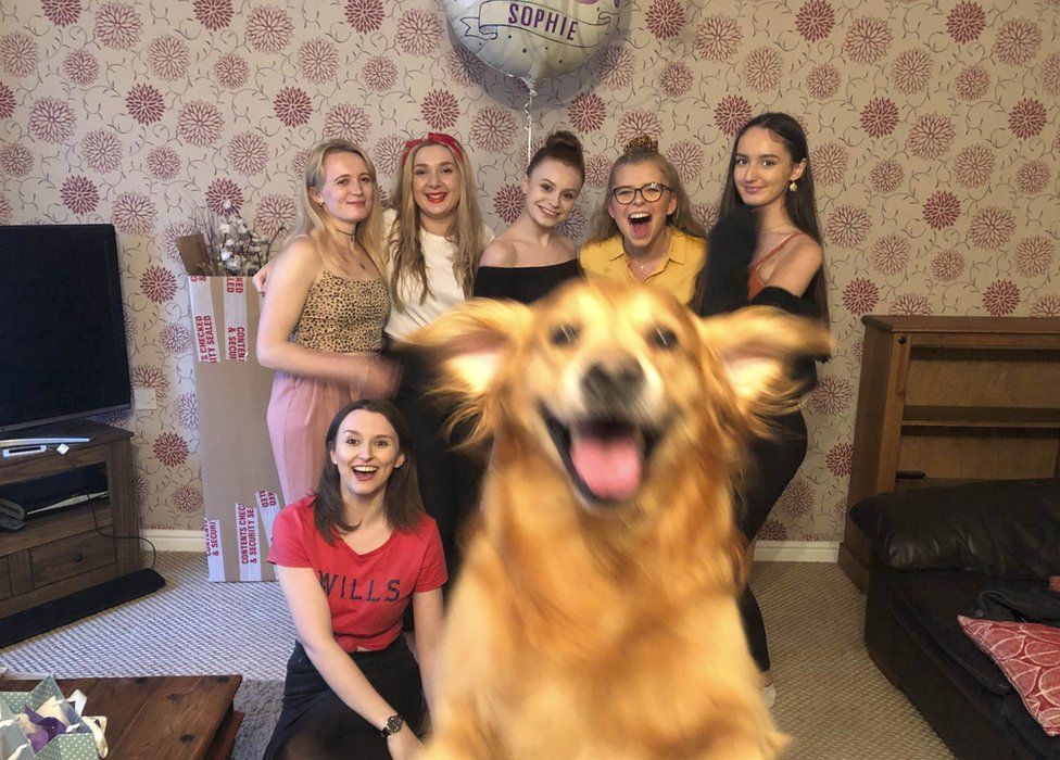 Dog 'photobombing' picture