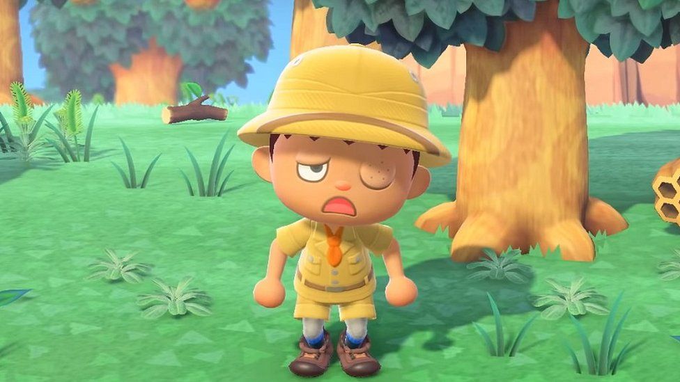 Animal Crossing: New Horizons