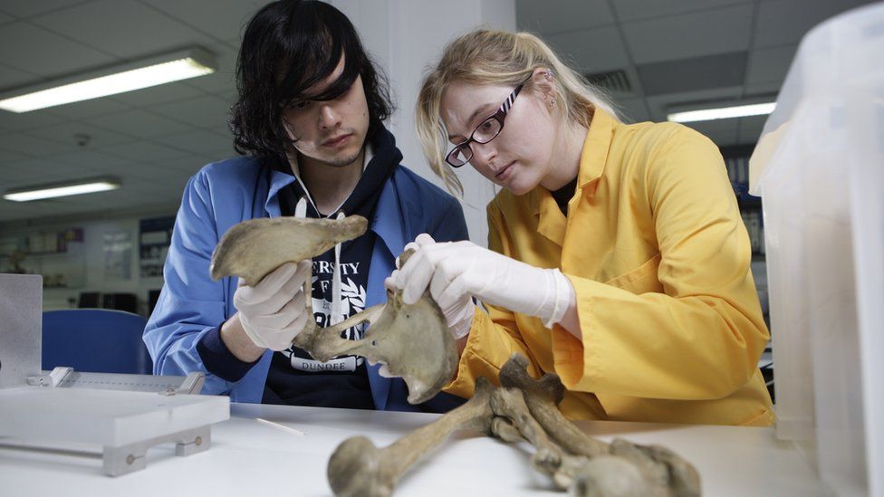 Students identify bones