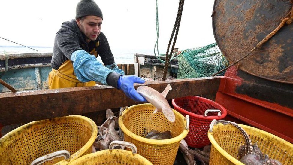 Fisherman on a boat putting a fish into a bucket