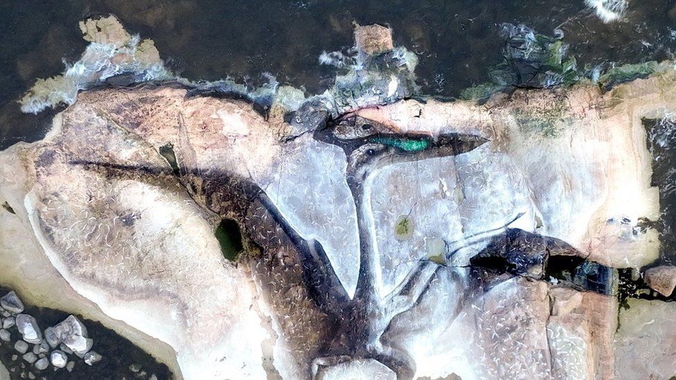 Hatzegopteryx painted on rocks in Finland
