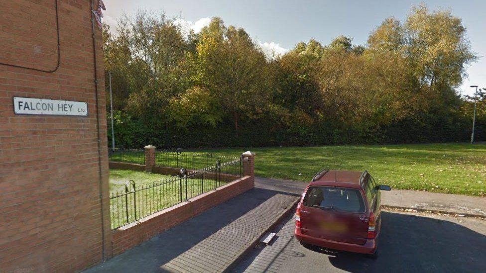 'Viable' WW2 gun found on Liverpool recreation ground BBC News