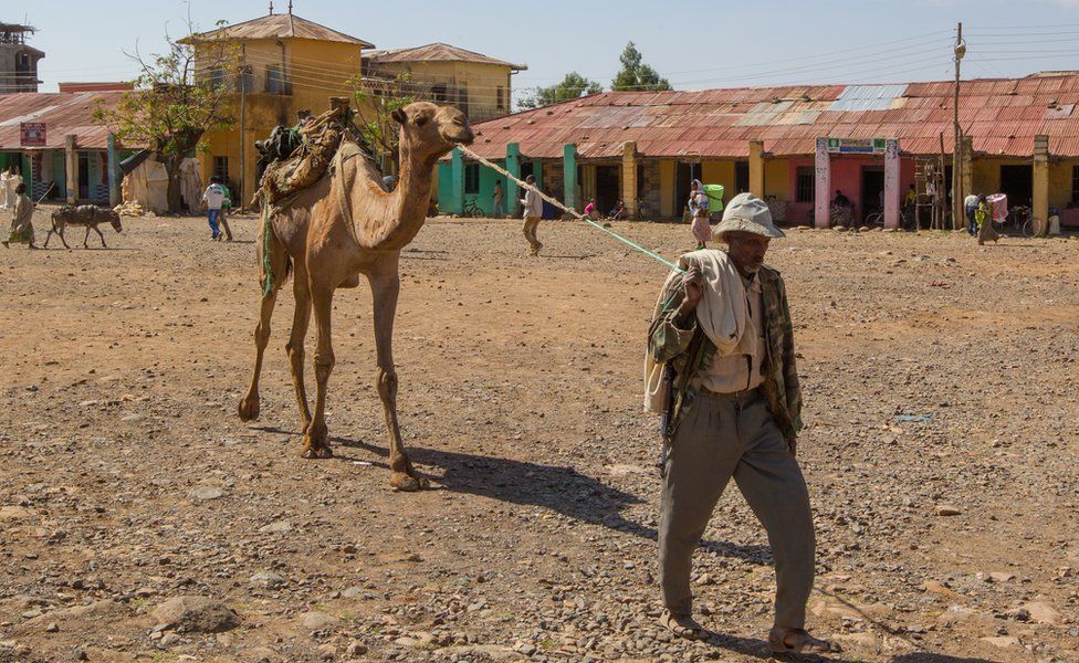 A man leads a camel in the Muslim area of Aksum, Ethiopia