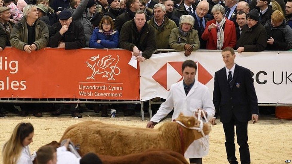 Theresa May during a visit to the Royal Welsh Winter Fair at Builith Wells