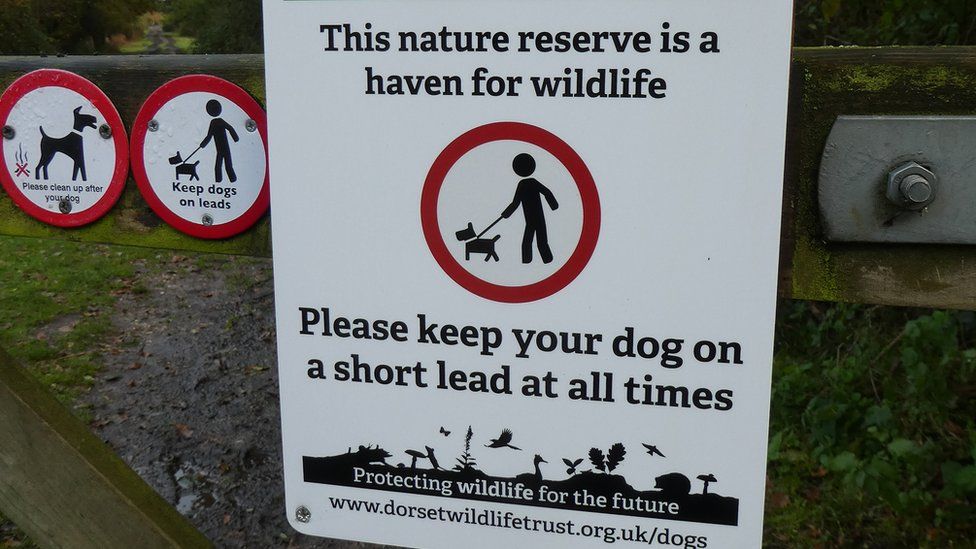 A sign telling dog walkers to put dogs on leads