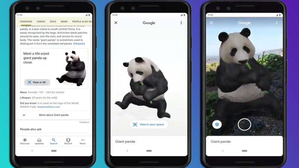 How to View Google 3D Animals in Your Mobile \ AR Feature 