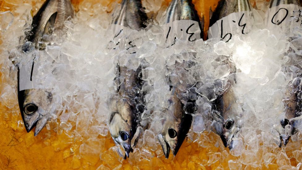 Japan is ramping up its campaign to quell concerns over the safety of its seafood after Fukushima treated water release