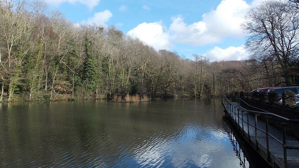 Pond at the Gnoll Estate country park