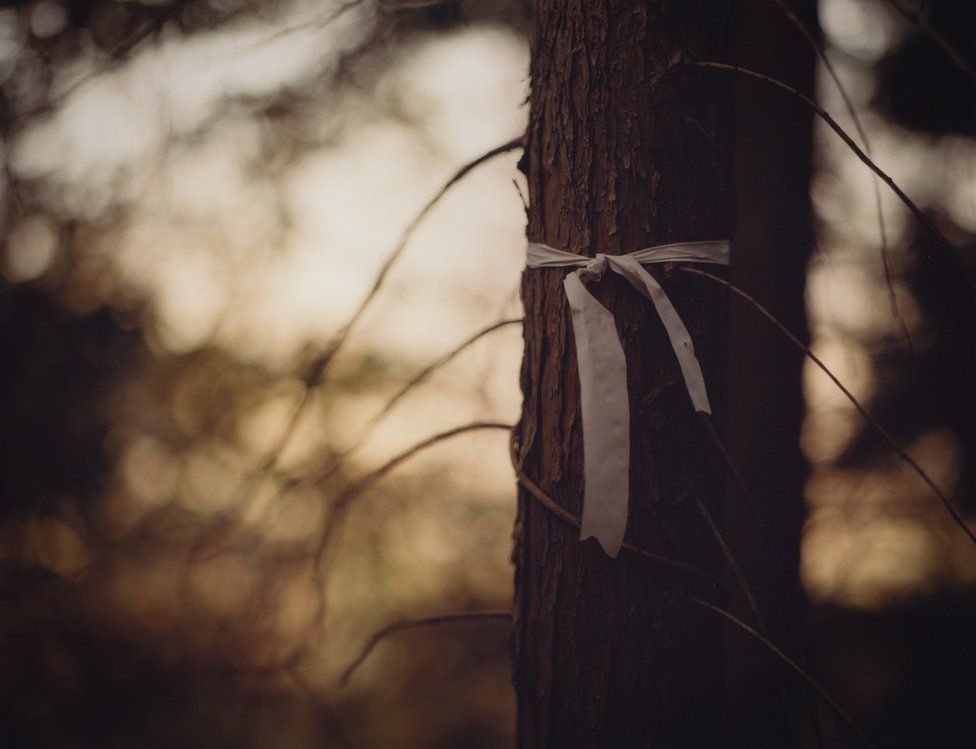 White ribbon tied around a tree