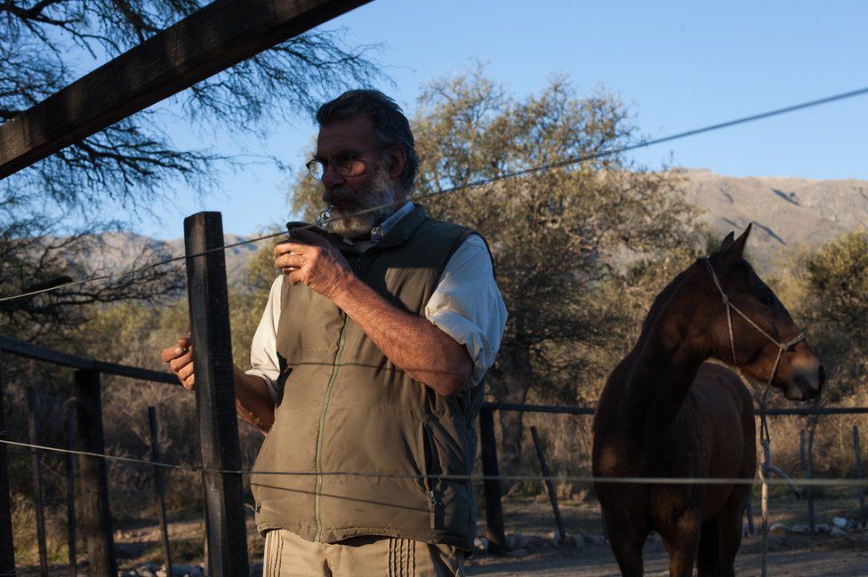 Oscar in the farmyard with a wild horse