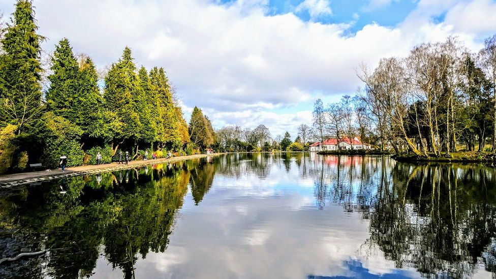 Reflections on the pond at Rouken Glen Park