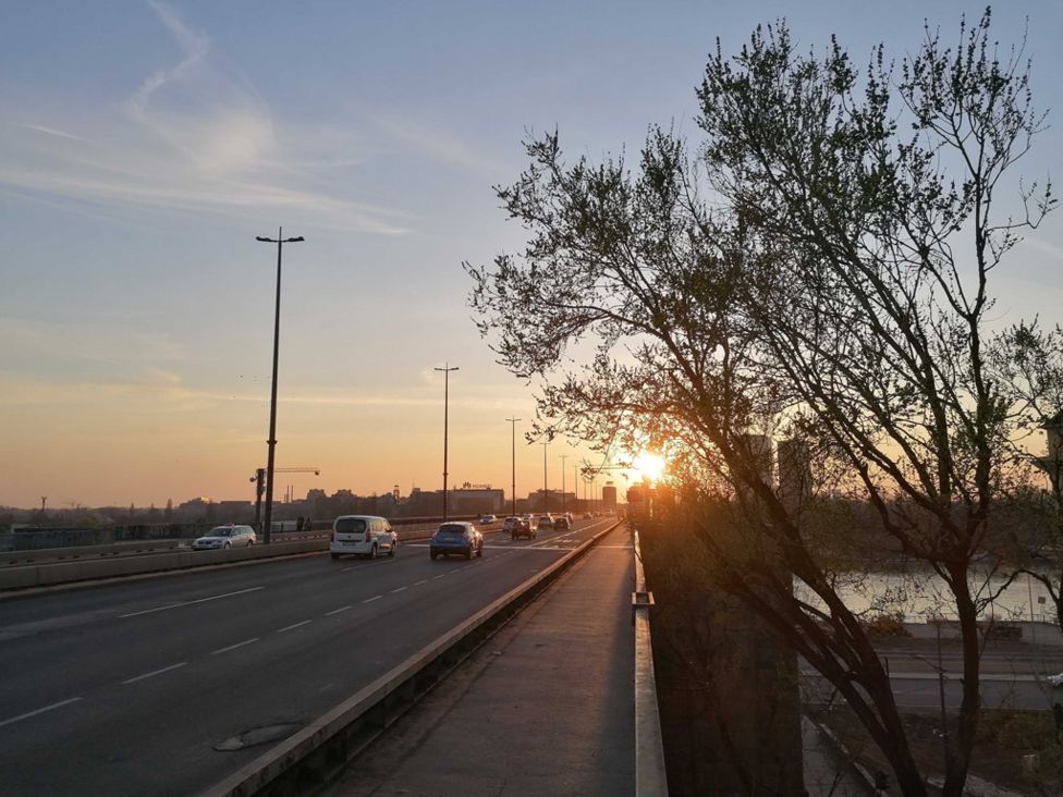 brankov most
