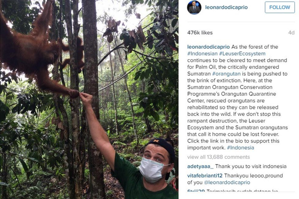 Leonardo DiCaprio with an Orangutan