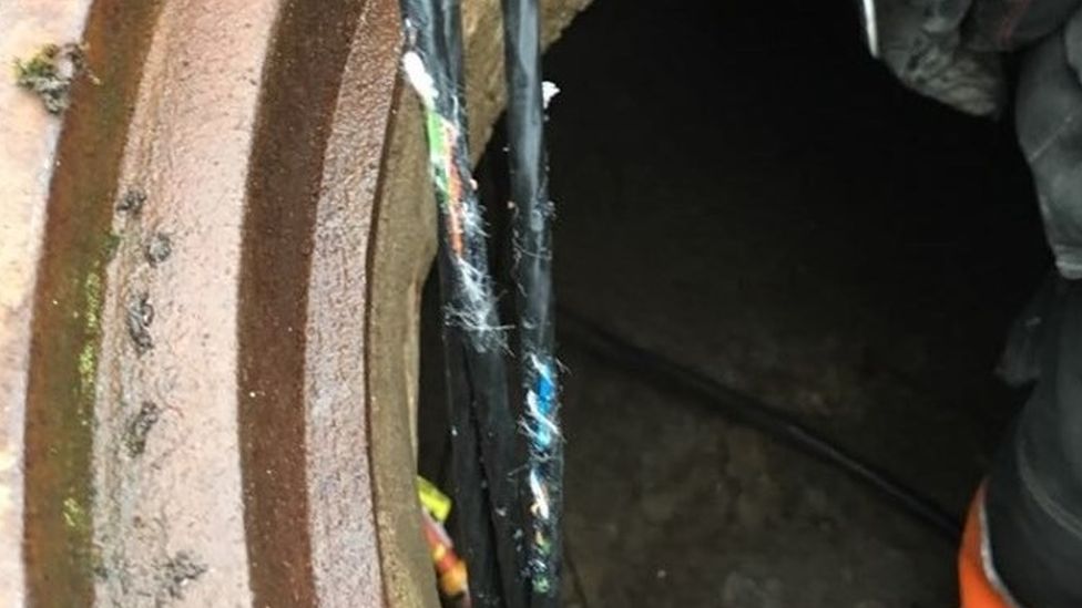 Rats damage Estonian digital services cables
