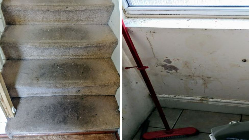 Inside a mother and baby unit where there were blocked drains, an infestation of rodents, damp and mould