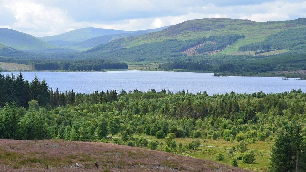 Galloway Forest Park