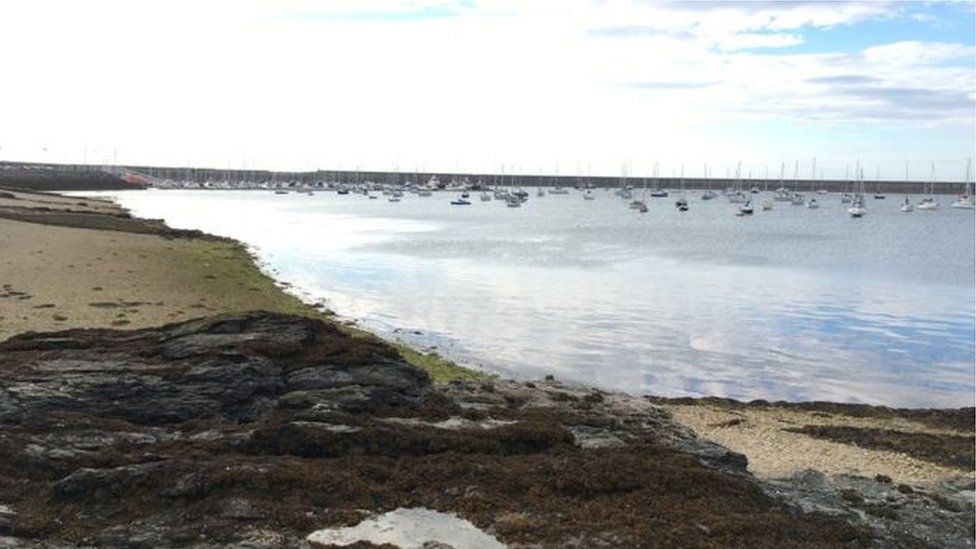 Ynys Mon