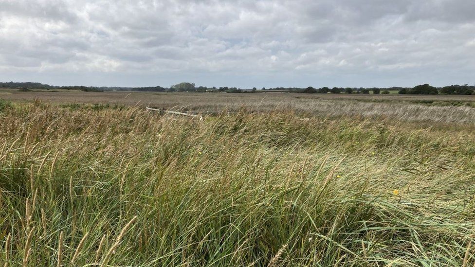 Land at Southwold