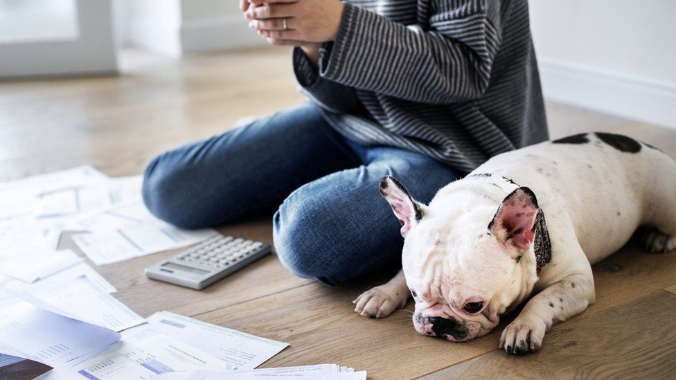 Person looking at bills with dog