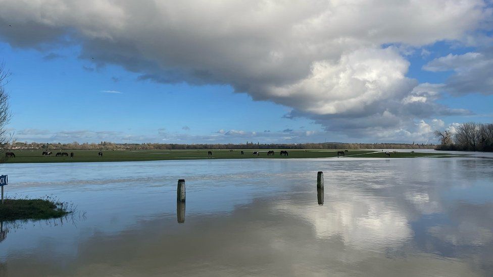 WEDNESDAY - Port Meadow