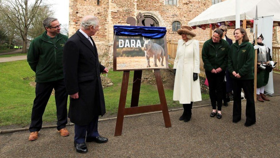 King Charles and Camilla unveil rhino calf's name