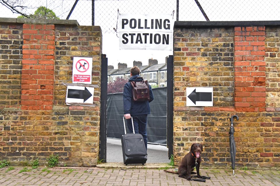 A lonely dog is seen outside a polling station in London