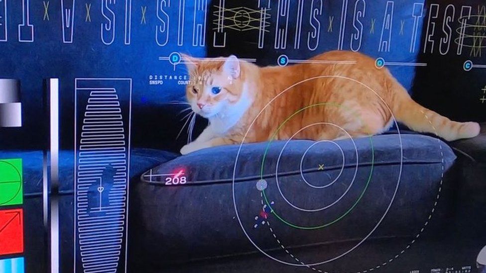 Image shows a video of a red tabby cat on a sofa with "this is a test" and other graphics overlaying the screen