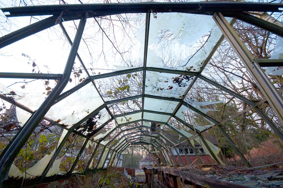 Dilapidated greenhouse
