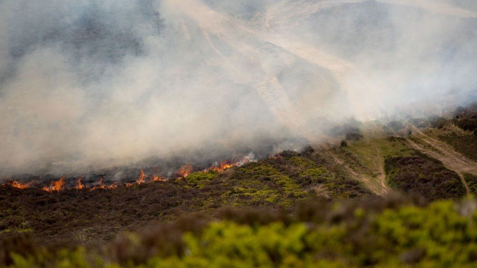 Wildfire rages across the moorland of the Clwydian Range in June 2021 in North Wales
