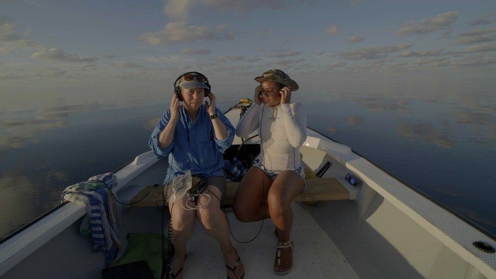 Researchers on a boat listening to underwater microphones in the Seychelles