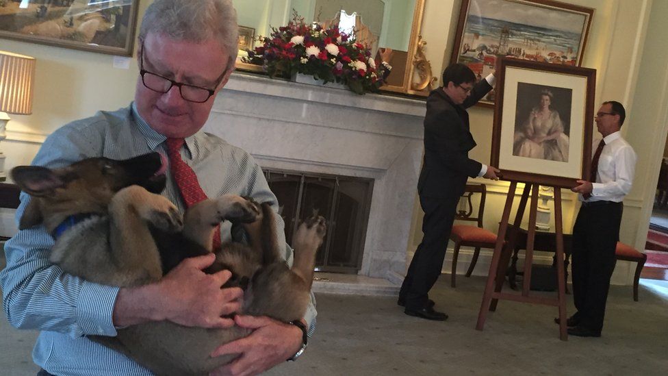 A candid photo from inside the governor's house, showing governor Paul de Jersey holding the puppy, as aides decorate a room for a function in the background
