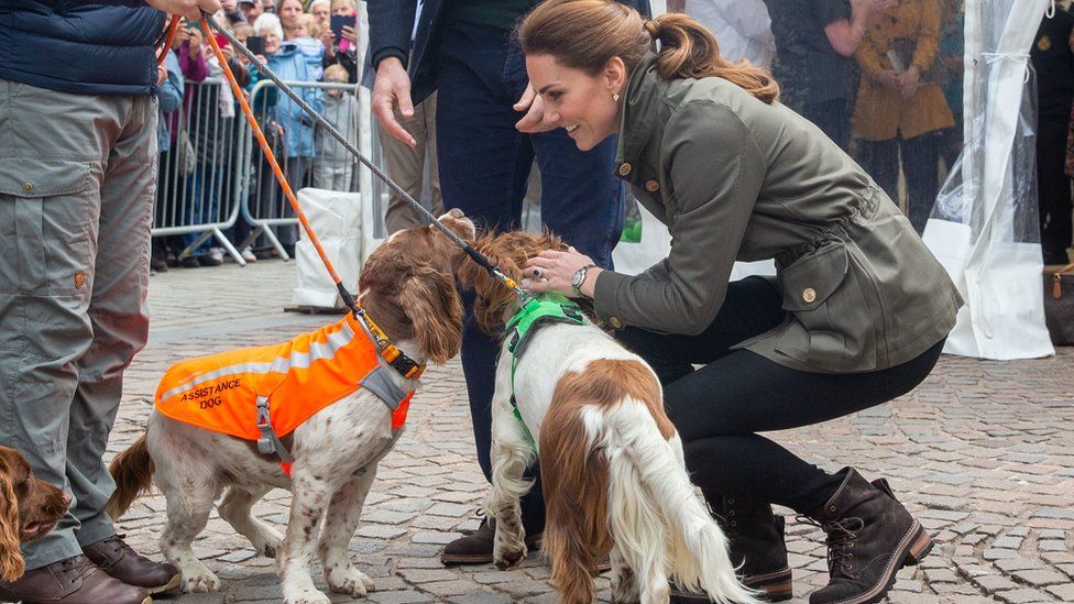 Royal couple with therapy dogs