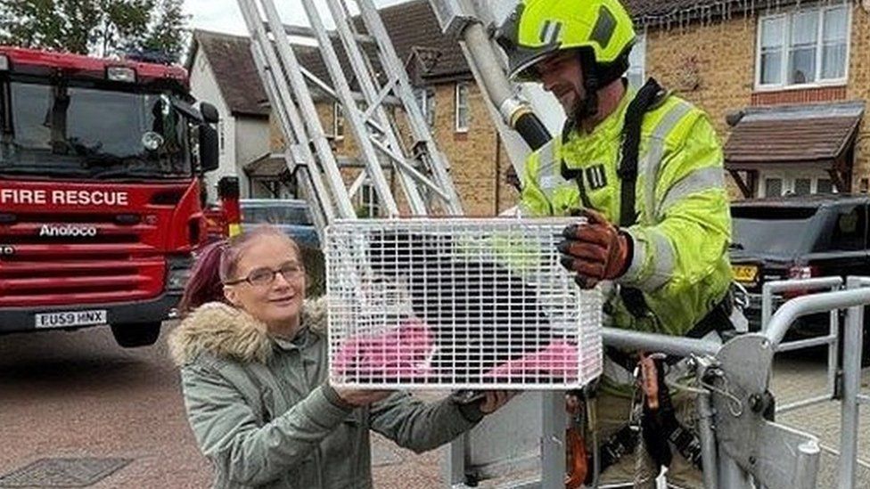 Rescued Shadow with its owner