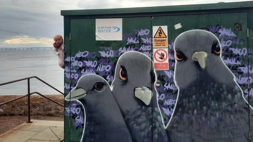 Baby behind pigeons image