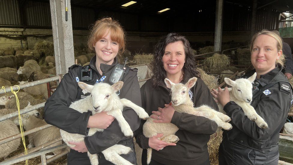 Three women - two of which are police officers - holding lambs on a farmyard